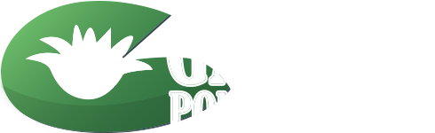 Garden Pond Services